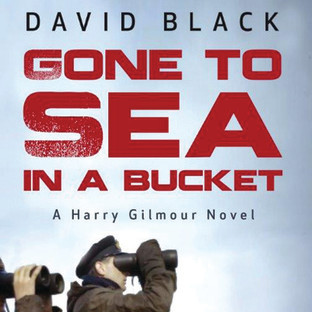 85. (January 2020) Gone to Sea in a Bucket by David Black